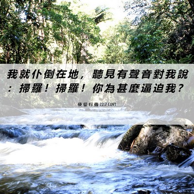Picture 06 - 使 徒 行 傳 22:7 CUVT - 我 就 仆 倒 在 地 ， 聽 見 有 聲 音 - Bible Verse Picture