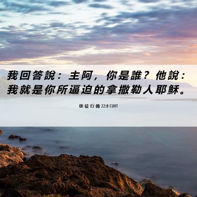 Picture 06 - 使 徒 行 傳 22:8 CUVT - 我 回 答 說 ： 主 阿 ， 你 是 誰 ？ - Bible Verse Picture