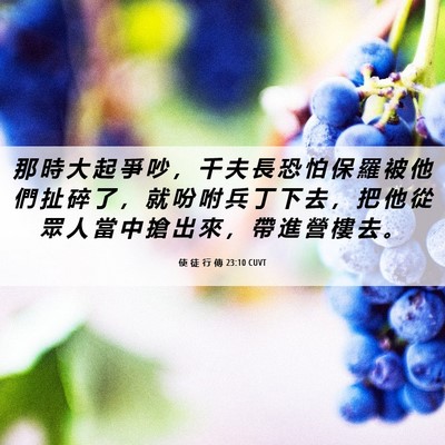 Picture 06 - 使 徒 行 傳 23:10 CUVT - 那 時 大 起 爭 吵 ， 千 夫 長 恐 怕 - Bible Verse Picture