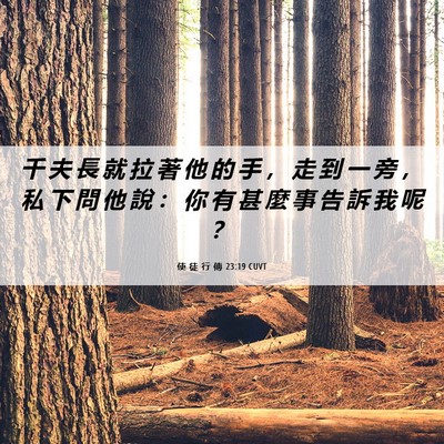 Picture 06 - 使 徒 行 傳 23:19 CUVT - 千 夫 長 就 拉 著 他 的 手 ， 走 到 - Bible Verse Picture