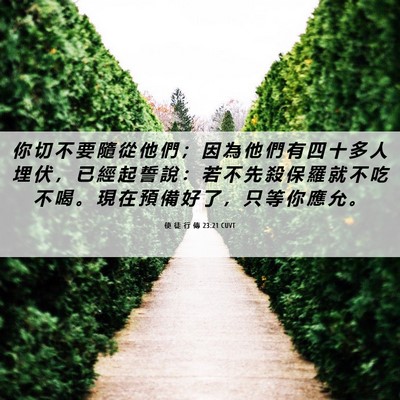 Picture 06 - 使 徒 行 傳 23:21 CUVT - 你 切 不 要 隨 從 他 們 ； 因 為 他 - Bible Verse Picture