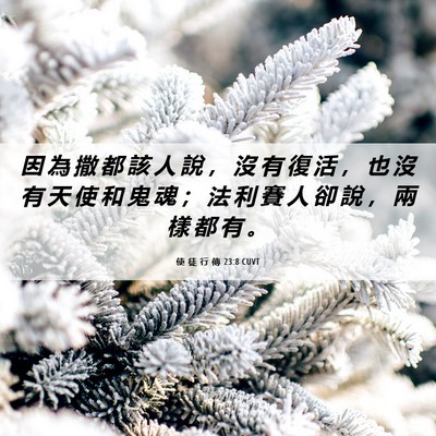Picture 06 - 使 徒 行 傳 23:8 CUVT - 因 為 撒 都 該 人 說 ， 沒 有 復 活 - Bible Verse Picture