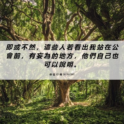 Picture 06 - 使 徒 行 傳 24:20 CUVT - 即 或 不 然 ， 這 些 人 若 看 出 我 - Bible Verse Picture