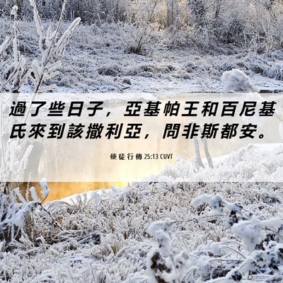 Picture 06 - 使 徒 行 傳 25:13 CUVT - 過 了 些 日 子 ， 亞 基 帕 王 和 百 - Bible Verse Picture