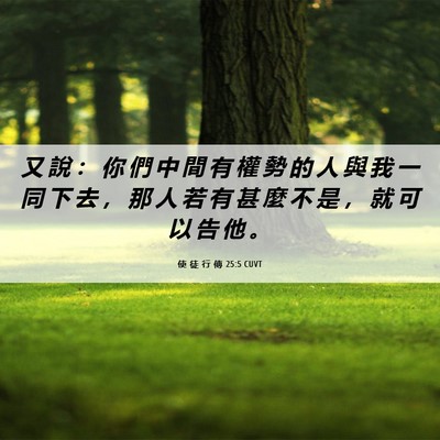 Picture 06 - 使 徒 行 傳 25:5 CUVT - 又 說 ： 你 們 中 間 有 權 勢 的 人 - Bible Verse Picture