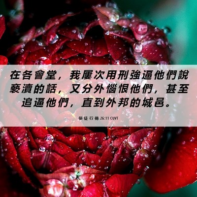 Picture 06 - 使 徒 行 傳 26:11 CUVT - 在 各 會 堂 ， 我 屢 次 用 刑 強 逼 - Bible Verse Picture