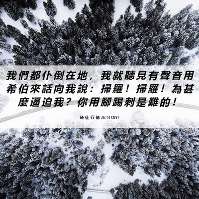 Picture 06 - 使 徒 行 傳 26:14 CUVT - 我 們 都 仆 倒 在 地 ， 我 就 聽 見 - Bible Verse Picture