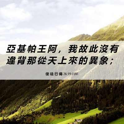 Picture 06 - 使 徒 行 傳 26:19 CUVT - 亞 基 帕 王 阿 ， 我 故 此 沒 有 違 - Bible Verse Picture