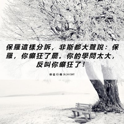 Picture 06 - 使 徒 行 傳 26:24 CUVT - 保 羅 這 樣 分 訴 ， 非 斯 都 大 聲 - Bible Verse Picture