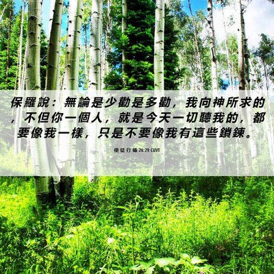 Picture 06 - 使 徒 行 傳 26:29 CUVT - 保 羅 說 ： 無 論 是 少 勸 是 多 勸 - Bible Verse Picture