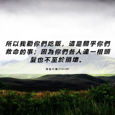 Picture 06 - 使 徒 行 傳 27:34 CUVT - 所 以 我 勸 你 們 吃 飯 ， 這 是 關 - Bible Verse Picture