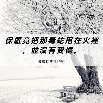 Picture 06 - 使 徒 行 傳 28:5 CUVT - 保 羅 竟 把 那 毒 蛇 甩 在 火 裡 ， - Bible Verse Picture