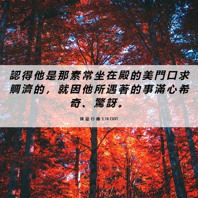 Picture 06 - 使 徒 行 傳 3:10 CUVT - 認 得 他 是 那 素 常 坐 在 殿 的 美 - Bible Verse Picture