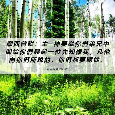 Picture 06 - 使 徒 行 傳 3:22 CUVT - 摩 西 曾 說 ： 主 ─ 神 要 從 你 們 - Bible Verse Picture