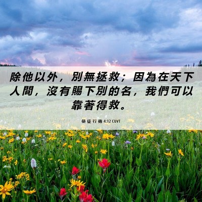 Picture 06 - 使 徒 行 傳 4:12 CUVT - 除 他 以 外 ， 別 無 拯 救 ； 因 為 - Bible Verse Picture