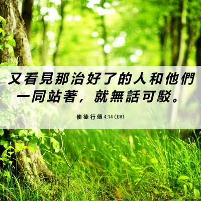 Picture 06 - 使 徒 行 傳 4:14 CUVT - 又 看 見 那 治 好 了 的 人 和 他 們 - Bible Verse Picture