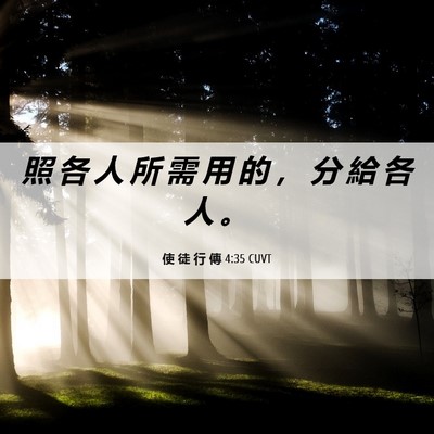 Picture 06 - 使 徒 行 傳 4:35 CUVT - 照 各 人 所 需 用 的 ， 分 給 各 人 - Bible Verse Picture