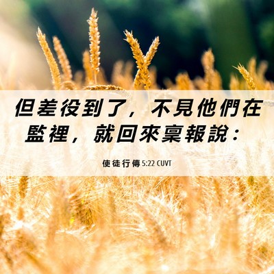Picture 06 - 使 徒 行 傳 5:22 CUVT - 但 差 役 到 了 ， 不 見 他 們 在 監 - Bible Verse Picture