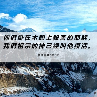 Picture 06 - 使 徒 行 傳 5:30 CUVT - 你 們 掛 在 木 頭 上 殺 害 的 耶 穌 - Bible Verse Picture