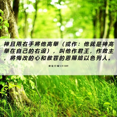Picture 06 - 使 徒 行 傳 5:31 CUVT - 神 且 用 右 手 將 他 高 舉 （ 或 作 - Bible Verse Picture