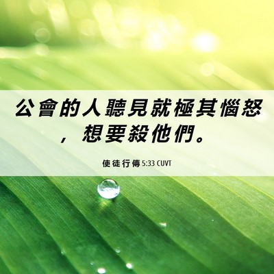 Picture 06 - 使 徒 行 傳 5:33 CUVT - 公 會 的 人 聽 見 就 極 其 惱 怒 ， - Bible Verse Picture