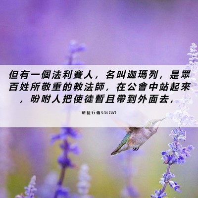 Picture 06 - 使 徒 行 傳 5:34 CUVT - 但 有 一 個 法 利 賽 人 ， 名 叫 迦 - Bible Verse Picture