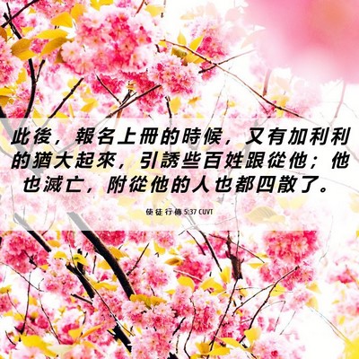 Picture 06 - 使 徒 行 傳 5:37 CUVT - 此 後 ， 報 名 上 冊 的 時 候 ， 又 - Bible Verse Picture