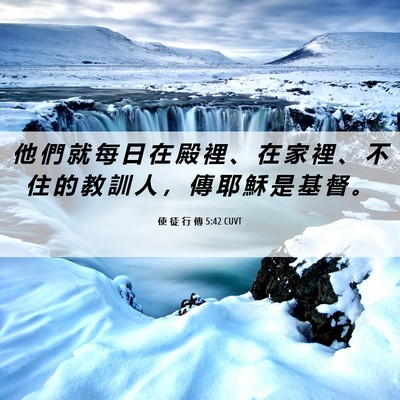 Picture 06 - 使 徒 行 傳 5:42 CUVT - 他 們 就 每 日 在 殿 裡 、 在 家 裡 - Bible Verse Picture