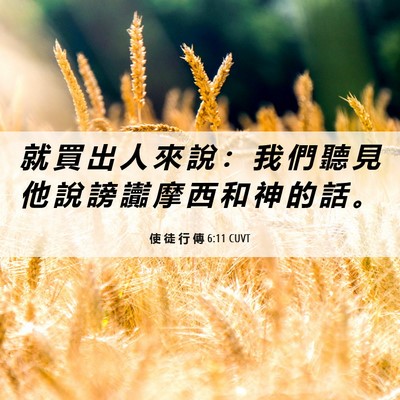 Picture 06 - 使 徒 行 傳 6:11 CUVT - 就 買 出 人 來 說 ： 我 們 聽 見 他 - Bible Verse Picture