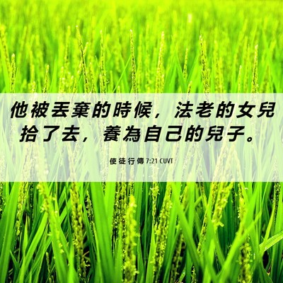 Picture 06 - 使 徒 行 傳 7:21 CUVT - 他 被 丟 棄 的 時 候 ， 法 老 的 女 - Bible Verse Picture