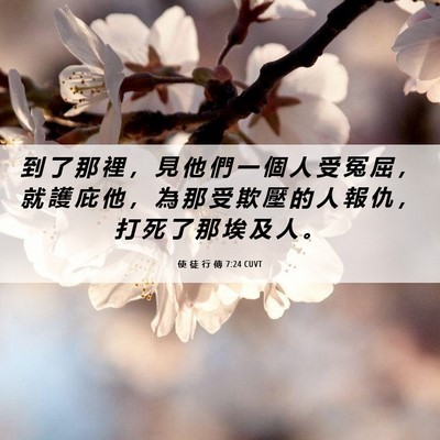 Picture 06 - 使 徒 行 傳 7:24 CUVT - 到 了 那 裡 ， 見 他 們 一 個 人 受 - Bible Verse Picture