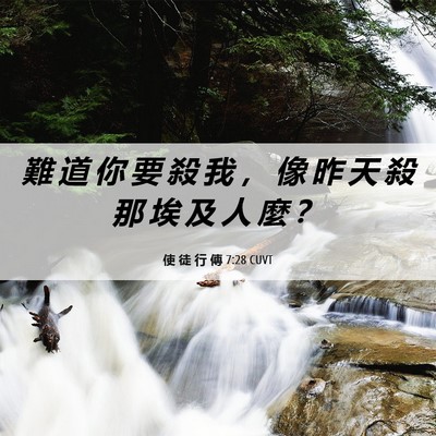 Picture 06 - 使 徒 行 傳 7:28 CUVT - 難 道 你 要 殺 我 ， 像 昨 天 殺 那 - Bible Verse Picture
