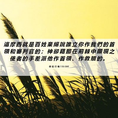 Picture 06 - 使 徒 行 傳 7:35 CUVT - 這 摩 西 就 是 百 姓 棄 絕 說 誰 立 - Bible Verse Picture
