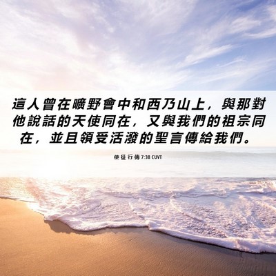 Picture 06 - 使 徒 行 傳 7:38 CUVT - 這 人 曾 在 曠 野 會 中 和 西 乃 山 - Bible Verse Picture