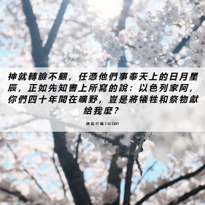 Picture 06 - 使 徒 行 傳 7:42 CUVT - 神 就 轉 臉 不 顧 ， 任 憑 他 們 事 - Bible Verse Picture