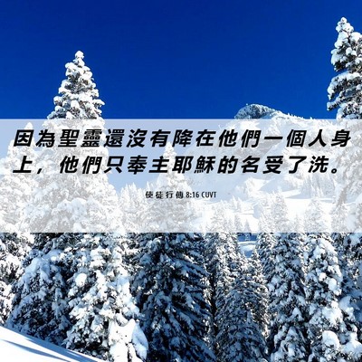 Picture 06 - 使 徒 行 傳 8:16 CUVT - 因 為 聖 靈 還 沒 有 降 在 他 們 一 - Bible Verse Picture