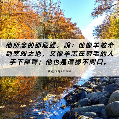 Picture 06 - 使 徒 行 傳 8:32 CUVT - 他 所 念 的 那 段 經 ， 說 ： 他 像 - Bible Verse Picture