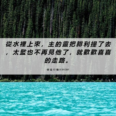 Picture 06 - 使 徒 行 傳 8:39 CUVT - 從 水 裡 上 來 ， 主 的 靈 把 腓 利 - Bible Verse Picture