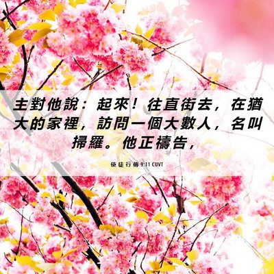 Picture 06 - 使 徒 行 傳 9:11 CUVT - 主 對 他 說 ： 起 來 ！ 往 直 街 去 - Bible Verse Picture
