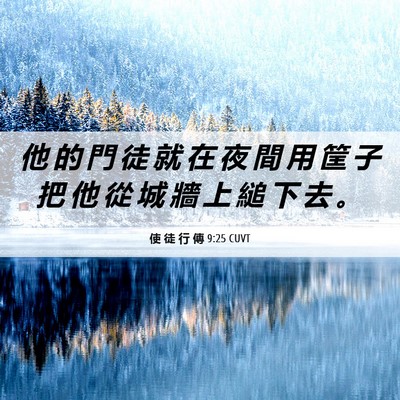 Picture 06 - 使 徒 行 傳 9:25 CUVT - 他 的 門 徒 就 在 夜 間 用 筐 子 把 - Bible Verse Picture