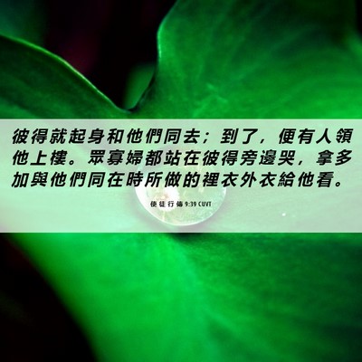 Picture 06 - 使 徒 行 傳 9:39 CUVT - 彼 得 就 起 身 和 他 們 同 去 ； 到 - Bible Verse Picture