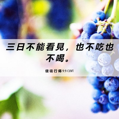 Picture 06 - 使 徒 行 傳 9:9 CUVT - 三 日 不 能 看 見 ， 也 不 吃 也 不 - Bible Verse Picture