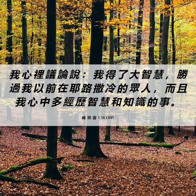 Picture 06 - 傳 道 書 1:16 CUVT - 我 心 裡 議 論 說 ： 我 得 了 大 智 - Bible Verse Picture