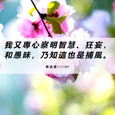 Picture 06 - 傳 道 書 1:17 CUVT - 我 又 專 心 察 明 智 慧 、 狂 妄 ， - Bible Verse Picture