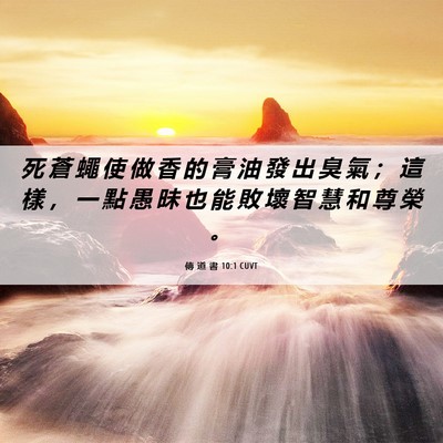 Picture 06 - 傳 道 書 10:1 CUVT - 死 蒼 蠅 使 做 香 的 膏 油 發 出 臭 - Bible Verse Picture