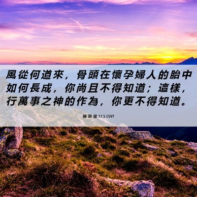 Picture 06 - 傳 道 書 11:5 CUVT - 風 從 何 道 來 ， 骨 頭 在 懷 孕 婦 - Bible Verse Picture