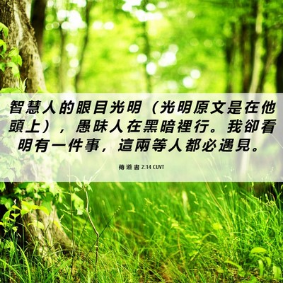 Picture 06 - 傳 道 書 2:14 CUVT - 智 慧 人 的 眼 目 光 明 （ 光 明 原 - Bible Verse Picture