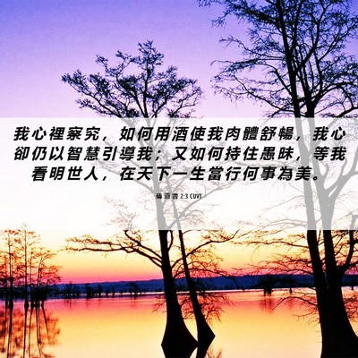 Picture 06 - 傳 道 書 2:3 CUVT - 我 心 裡 察 究 ， 如 何 用 酒 使 我 - Bible Verse Picture