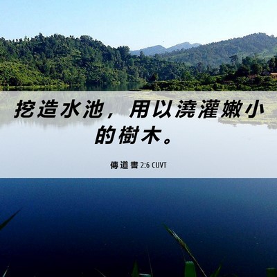 Picture 06 - 傳 道 書 2:6 CUVT - 挖 造 水 池 ， 用 以 澆 灌 嫩 小 的 - Bible Verse Picture