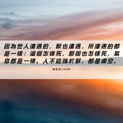 Picture 06 - 傳 道 書 3:19 CUVT - 因 為 世 人 遭 遇 的 ， 獸 也 遭 遇 - Bible Verse Picture